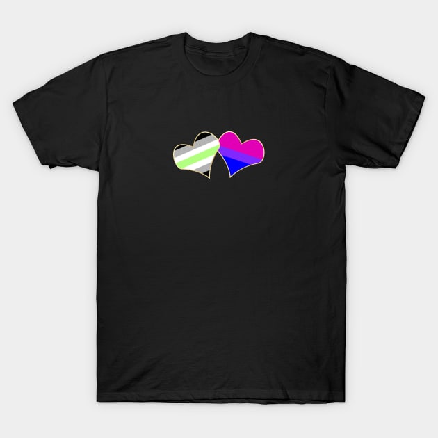 Gender and Sexuality T-Shirt by traditionation